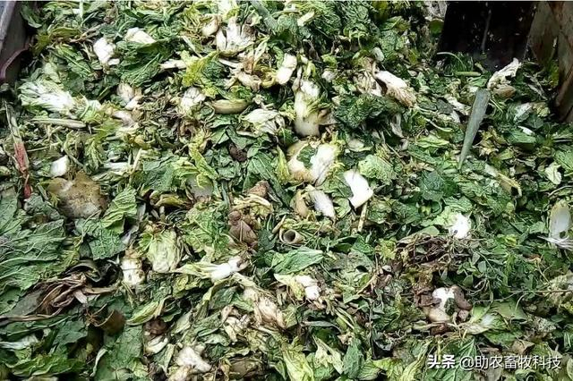 果蔬廢棄物垃圾怎樣進行科學資源化無害化減量化處理？